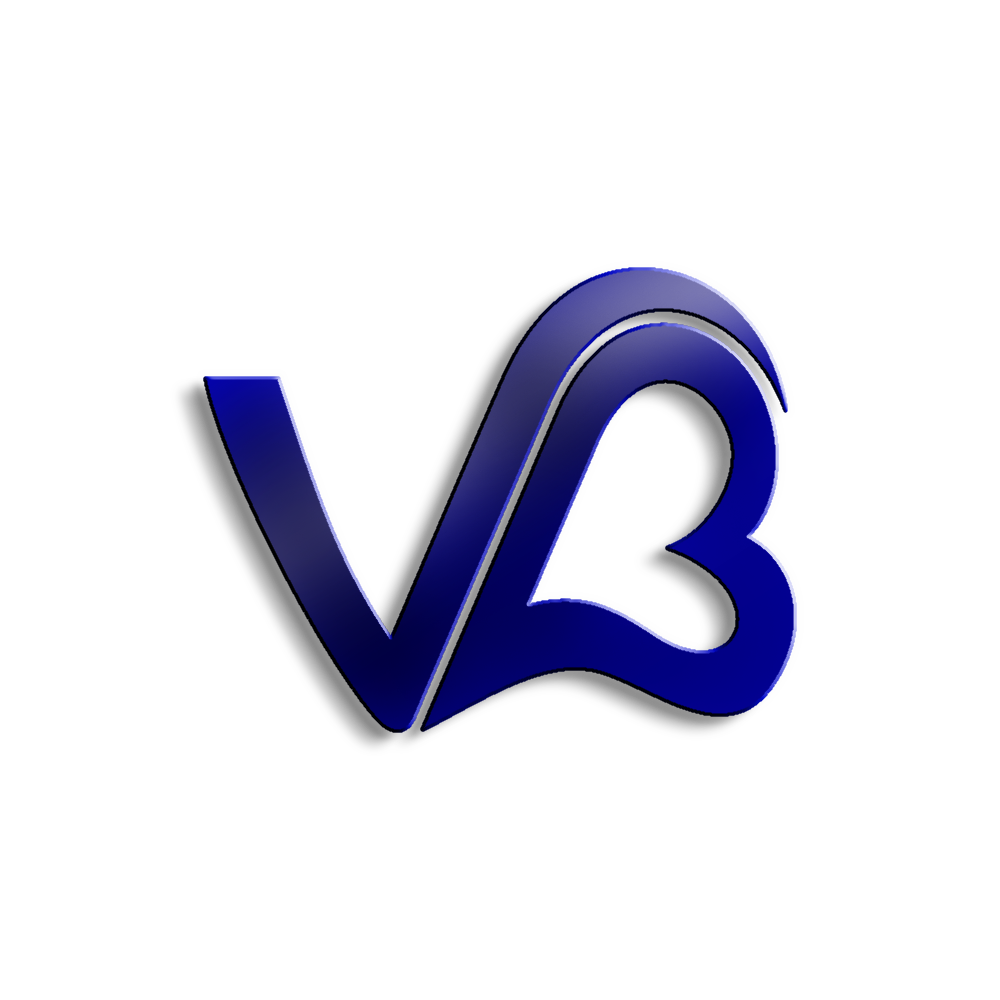 ViBn logo design